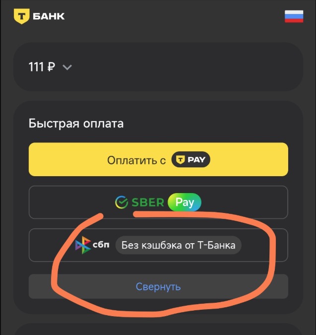 Интеграция оплаты по СБП от Т-Банка на InSales
